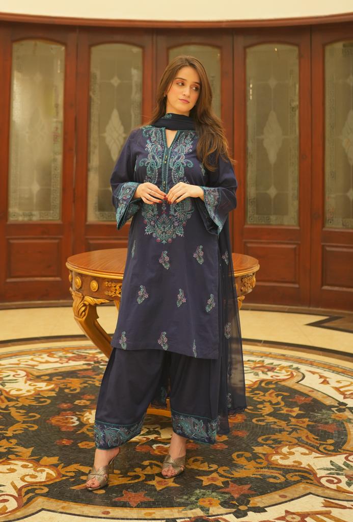 3 Piece Blue Embroidered Suit